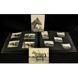 Photography - Equestrian - an interesting album of original black and white horse confirmations,