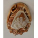 A 19th century Italian Grand Tour cameo conch shell,