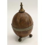 An early 20th century 'wunderkammer' coconut box, knop finial, ball feet, 17.