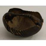 Natural History - an armadillo shell, fashioned as a basket, 21cm wide,
