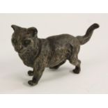 A large Austrian cold painted bronze, of a cat, 12.