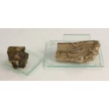 Natural History - Dendrology - a section of fossilised wood, 13cm long,