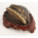 A fungi specimen, mounted as a Chinese scholar's contemplation object, hardwood base, 13.