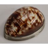 An 18th century silver coloured metal mounted cowrie shell snuff box, possibly Scottish Provincial,