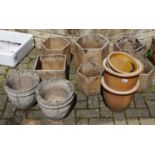 Various garden plant pots