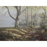 David Dipnall (bn. 1941) A Woodland Track in Autumn signed, oil on canvas, 30.5cm x 40.