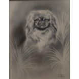 J W Hellins Portrait of a Pekingese Dog signed, pencil drawing, 24.
