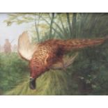 English School (early 20th century) Sportsman and Pheasant signed with monogram CWS, oil on canvas,