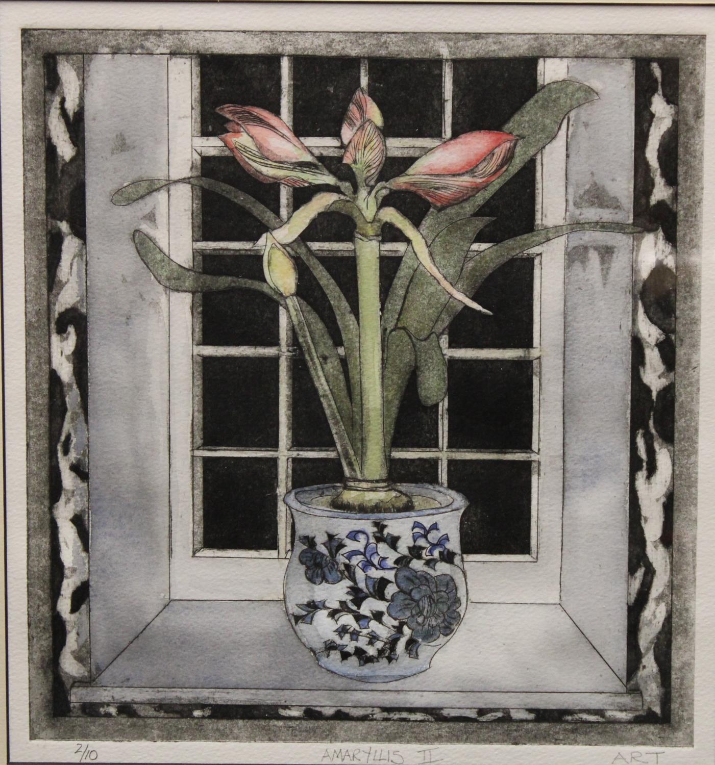Anthea Tassel, by and after, Amaryllis II, signed, numbered, and titled in pencil to margin, - Image 2 of 7
