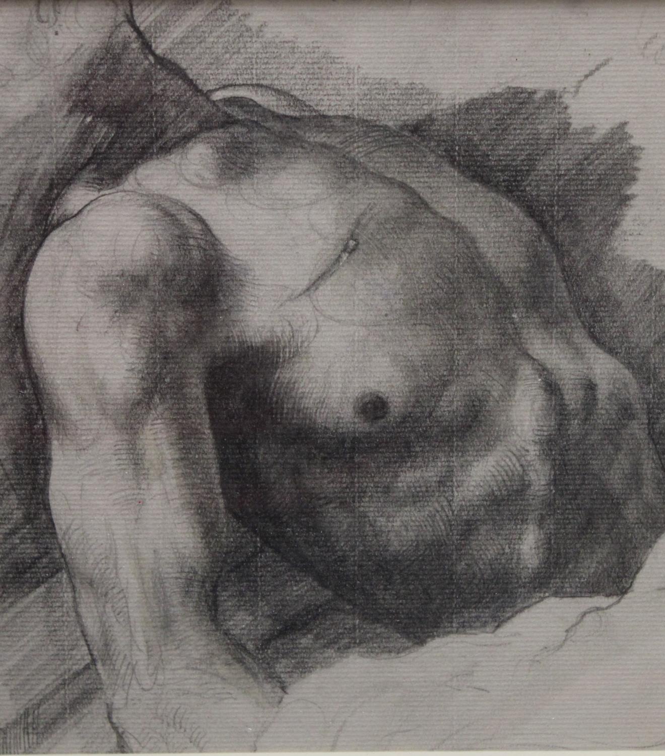 Jason Wallis-Johnson Study of a Male Torso label to verso, pencil drawing, 18.5cm x 16.