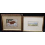 English School (early 20th century) Portrait of a Collie Dog signed with initials FCP?, watercolour,