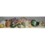 Conchology - large conch shell specimens; abalone shells; coral specimen; smaller examples;