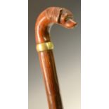 A 19th century gentleman's novelty walking cane, the handle carved as the head of a dog, glass eyes,