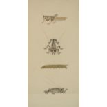 East India Company School (late 18th century) Studies of a Locust,