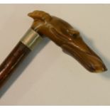 A 19th century gentleman's novelty walking cane, the horn handle carved as the head of a greyhound,