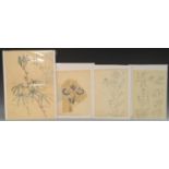Japanese School (Edo/Meiji period) Still life study, an Orchid inscribed with calligraphic script,