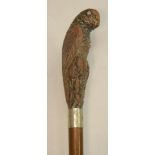An early 20th century novelty umbrella, the handle carved as a parakeet, 81cm long, c.