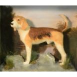 An amusing canine diorama, composed of a diminutive model of a foxhound,