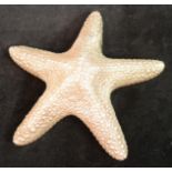 Natural History - an electroform star fish, 135.