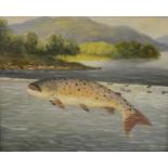 English School (early 20th century) Portrait of an Oversize Fish oil on board, 27cm x 32.