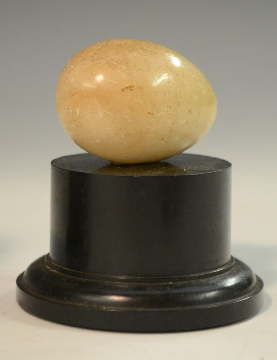 Geology - a collection of polished cabinet specimens, comprising egg shaped samples of fluorspar, - Image 9 of 9