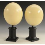 Natural History - a pair of ostrich eggs (Struthio), mounted for the cabinet of curiosities,