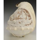 A large 19th century cameo conch shell, carved in the Classical taste with Diana in her chariot,