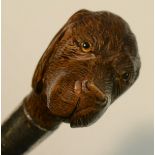 A Black Forest novelty walking cane handle, carved as the head of a dog, malacca shaft, 80.