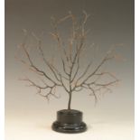 Natural History - a botanical marine specimen, 23cm wide, turned ebonised pedestal base,