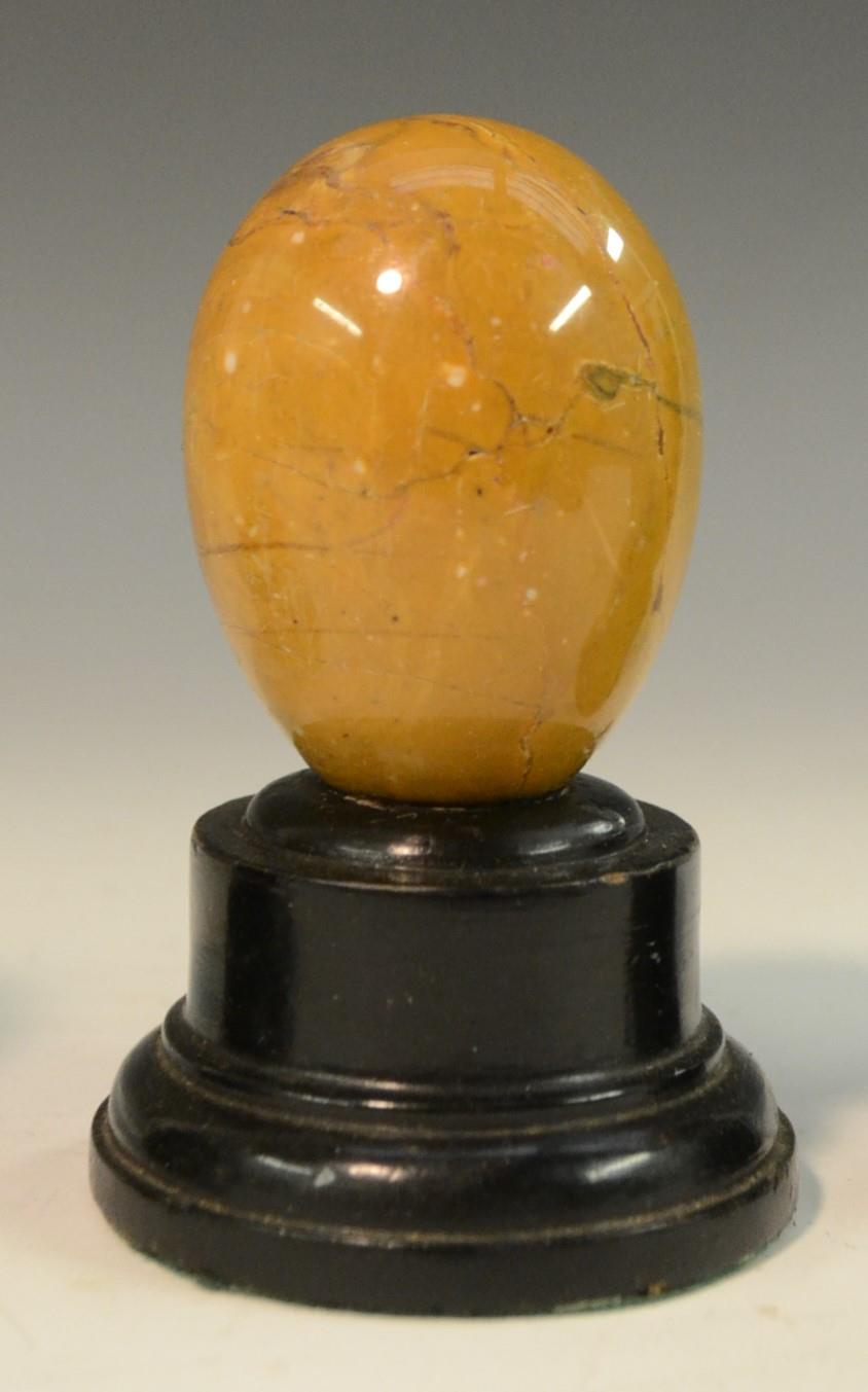 Geology - a collection of polished cabinet specimens, comprising egg shaped samples of fluorspar, - Image 7 of 9