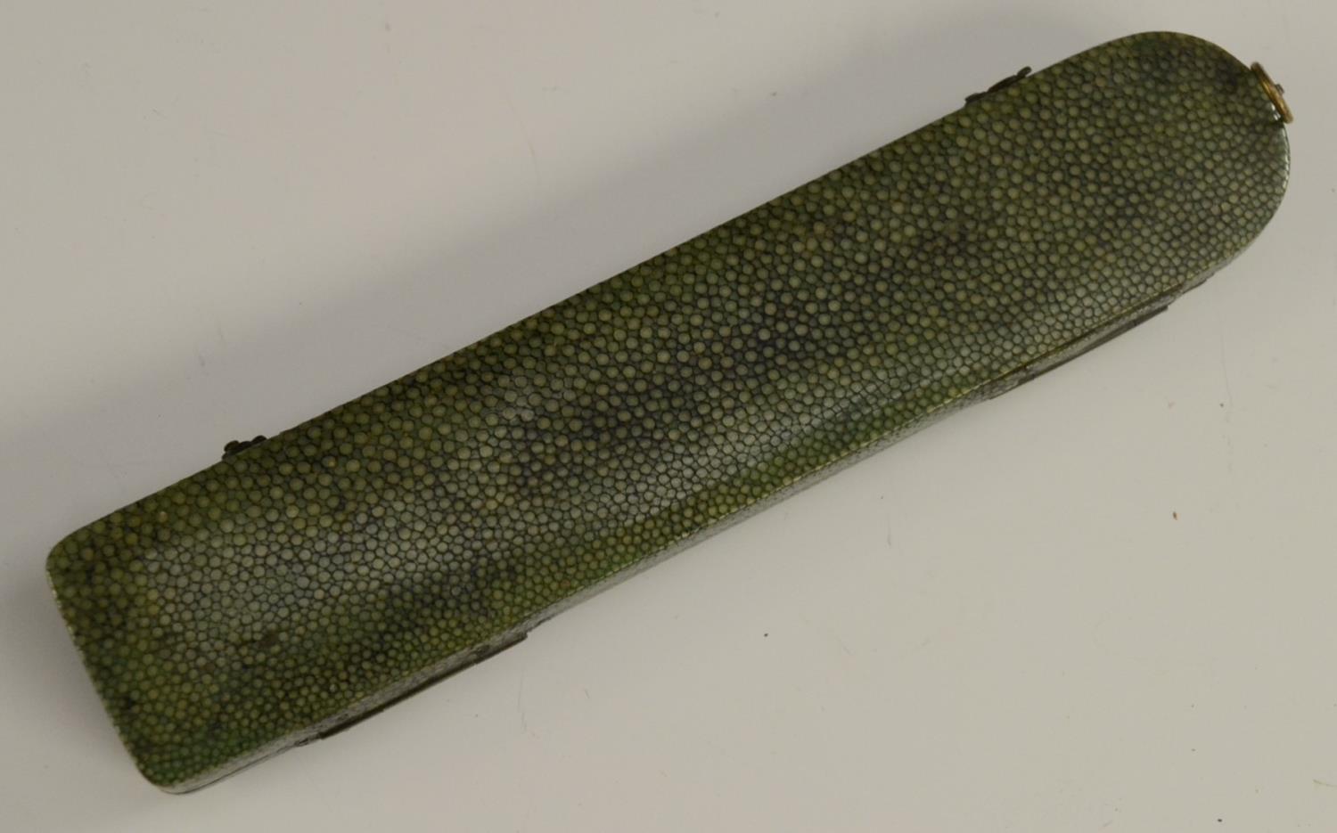 A 19th century shagreen rounded rectangular instrument case, now enclosing a thermometer, 19. - Image 4 of 9