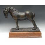Shirley Pace (20th century), a brown patinated bronze, of a Shire Horse, Jacob,