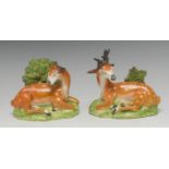 A pair of Staffordshire creamware recumbent deer, stag and doe, in tan with white spots,