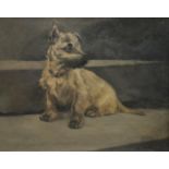 Chris McGregor (Scottish School, early 20th century) Dog Study, Portrait of a Terrier signed,