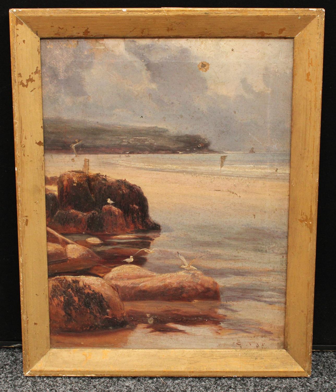 Charles Sim Mottram (1876 - 1919) Seagulls on the Coast signed, oil on canvas, 44.5cm x 33. - Image 2 of 3