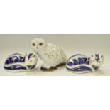 A Royal Crown Derby Collectors Guild Snowy Owl, printed marks to base,