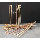 Walking Sticks - a quantity of gnarled wood sticks,