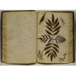 Botany - a substantial late Victorian scrapbook predominantly bracken and fern pressings,