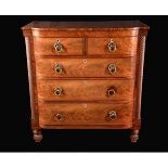 A Regency Scottish mahogany bow-fronted chest of two short above three long graduated,