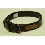 An early 20th century brass mounted leather dog collar, the owner's cartouche inscribed Lambert,