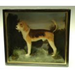 An amusing canine diorama, composed of a diminutive model of a foxhound,
