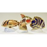 Three Royal Crown Derby paperweights, Koran Angel fish,