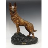 An Art Deco plaster model of an Alsatian dog, standing on an outcrop, Alerte, by Petrilly, 53cm high