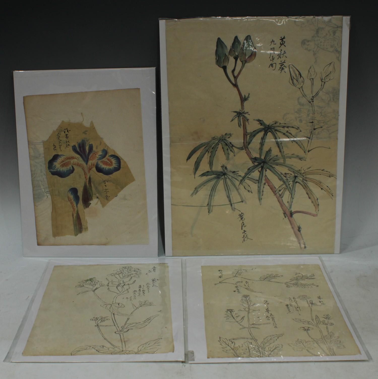 Japanese School (Edo/Meiji period) Still life study, an Orchid inscribed with calligraphic script,