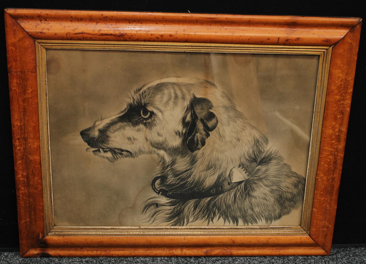 English School (19th century) Study of the Head of a Dog pencil and charcoal on paper, 43.5cm x 60.