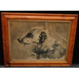 English School (19th century) Study of the Head of a Dog pencil and charcoal on paper, 43.5cm x 60.