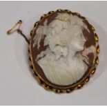 A 9ct gold mounted shall cameo brooch, carved with a classical beauty with fruiting vine in nher