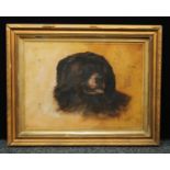 M Perry Head of a Dog signed, dated 1905, oil