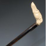 A late 19th century gentleman's novelty walking stick, the ivorine handle as a greyhound, two-tone