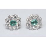 A pair of emerald and diamond earrings, central round cut emerald surrounded by a collar of eight